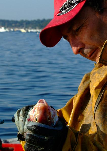 Fileyeur Arcachon ab9.JPG
